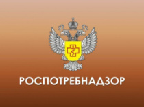 О подаче уведомлений о начале предпринимательской деятельности. Что нужно знать предпринимателям