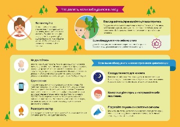 instruction_Zabludilsya_les-13