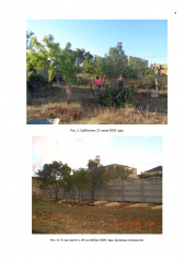 Инициативное предложение ТОС "Рассвет-3"