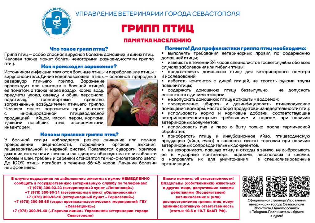 Грипп птиц.png